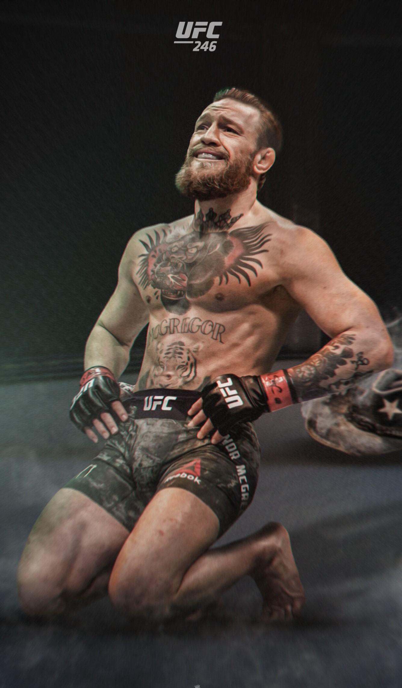Conor McGregor in ginocchio UFC, MMA, 1336x2286 Full HD Verticale, Smartphone