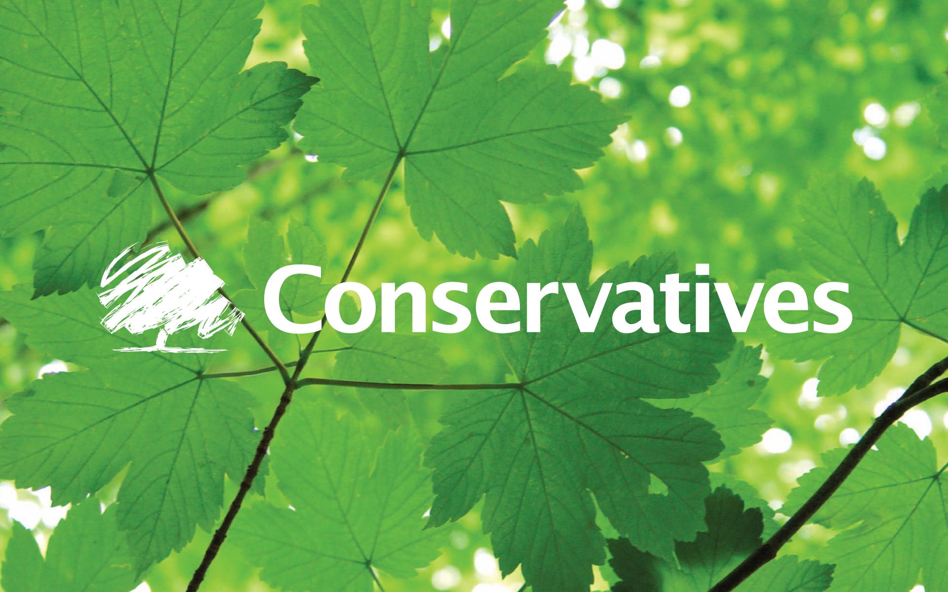 Logo stile Coca-Cola Conservative, 1920x1080 1080p, Monitor Gaming