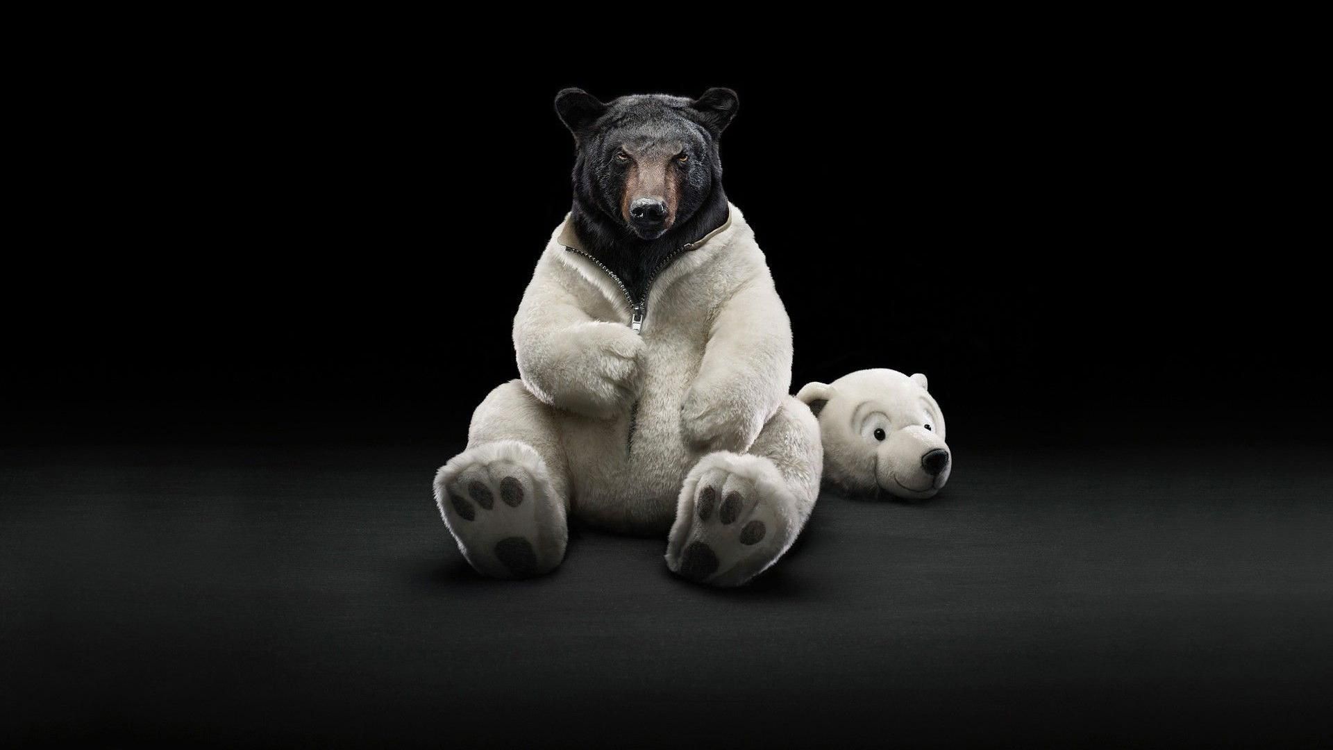Orso ruggente sfondo scuro, 1000x1525 Full HD Verticale, Smartphone
