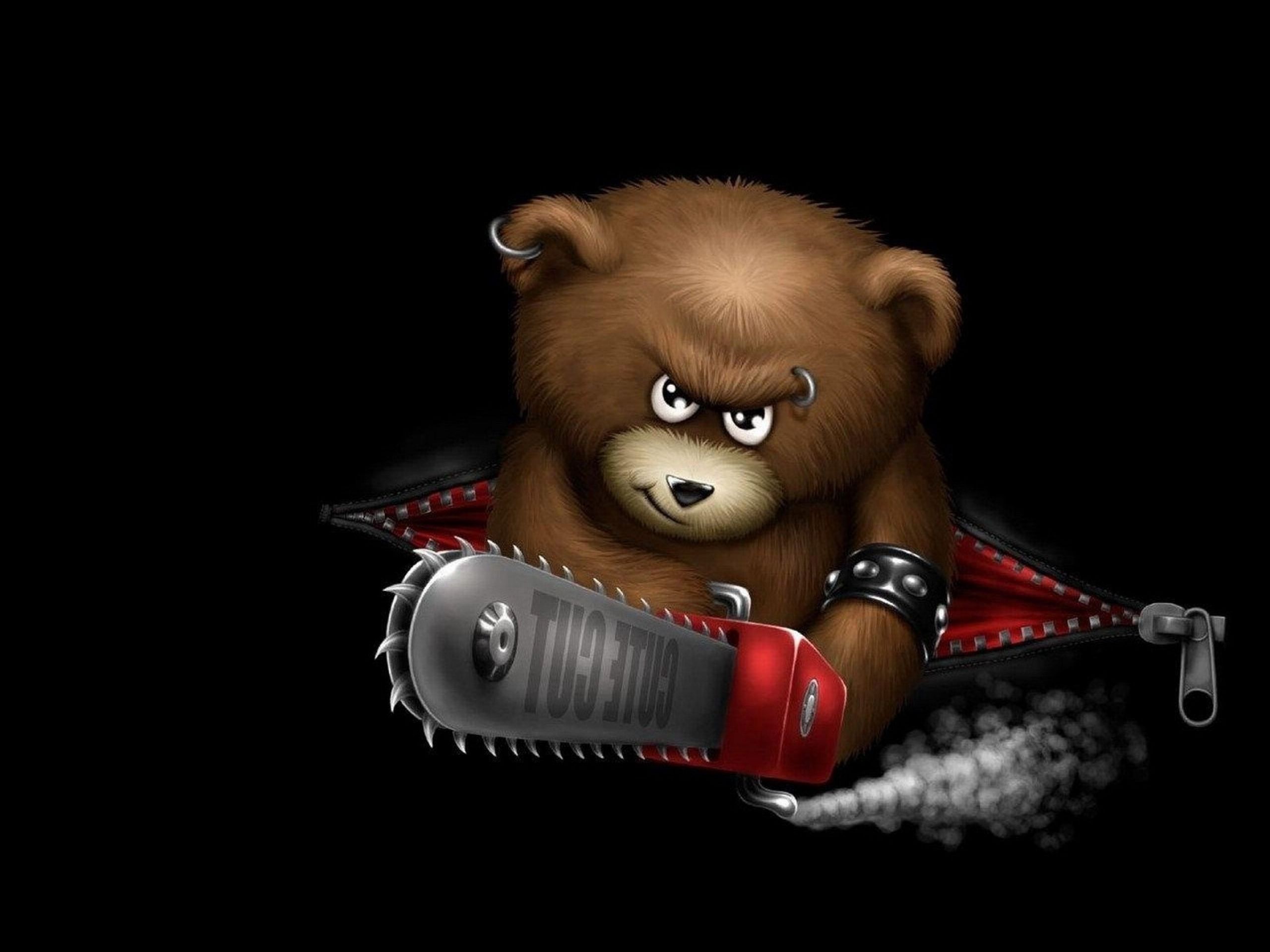 Orso arrabbiato ruggente, 1680x1050 HD, PC