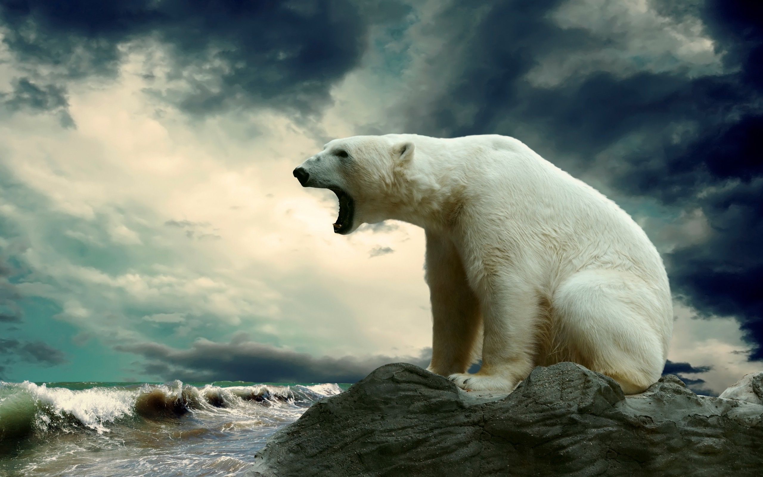 Logo Chicago Bears, città, 1920x1080 Full HD 1080p, PC