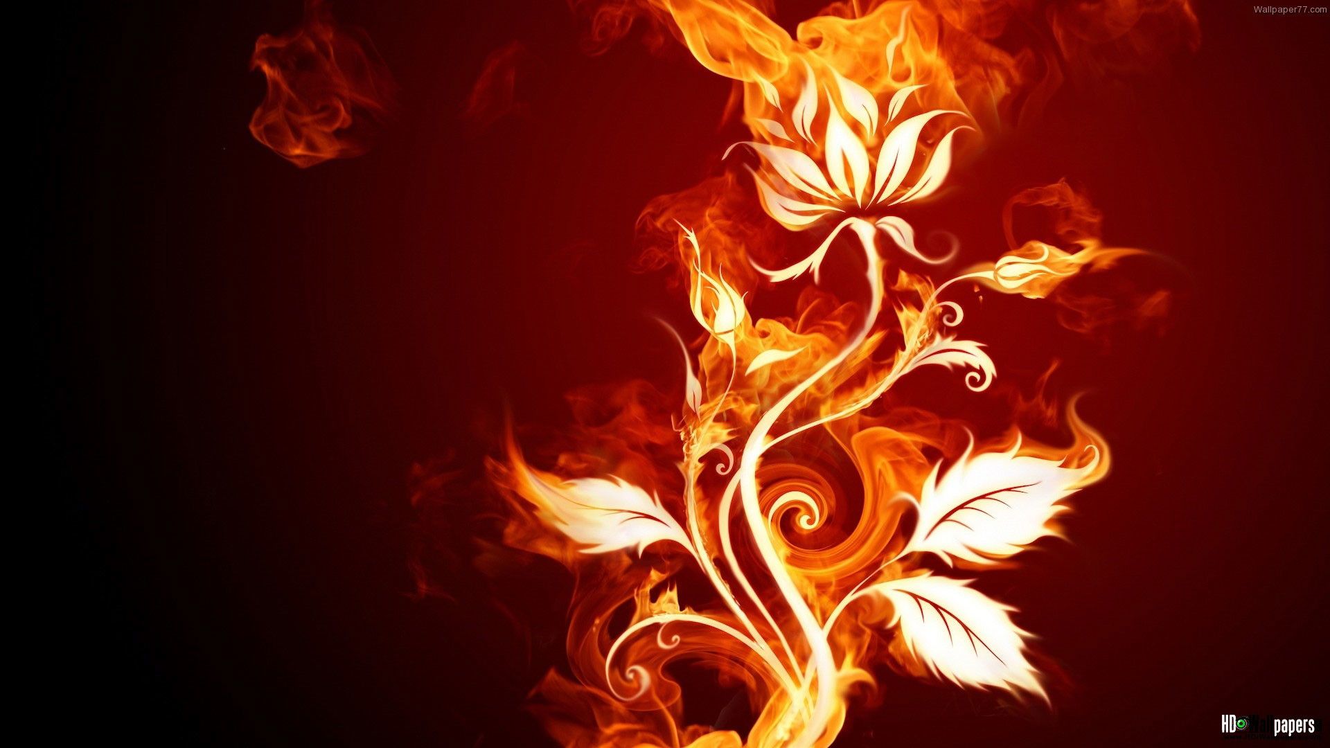 Cuore di fuoco e ghiaccio, 1920x1080 1080p, Laptop