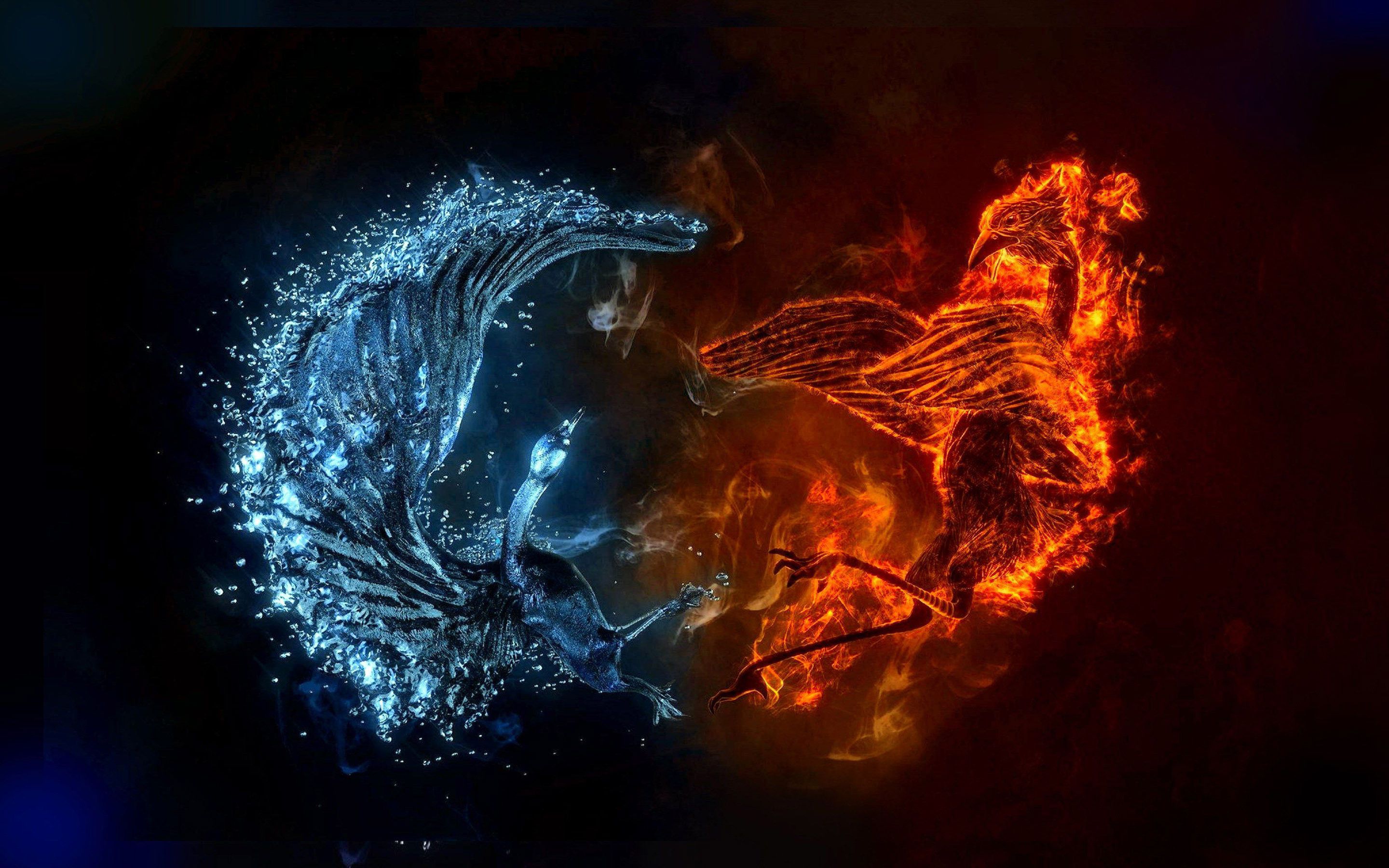 Draghi di fuoco e acqua, 2880x1800 WQXGA, PC