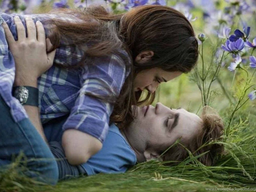 Coppia Twilight nel prato, 1024x768 HD, Laptop
