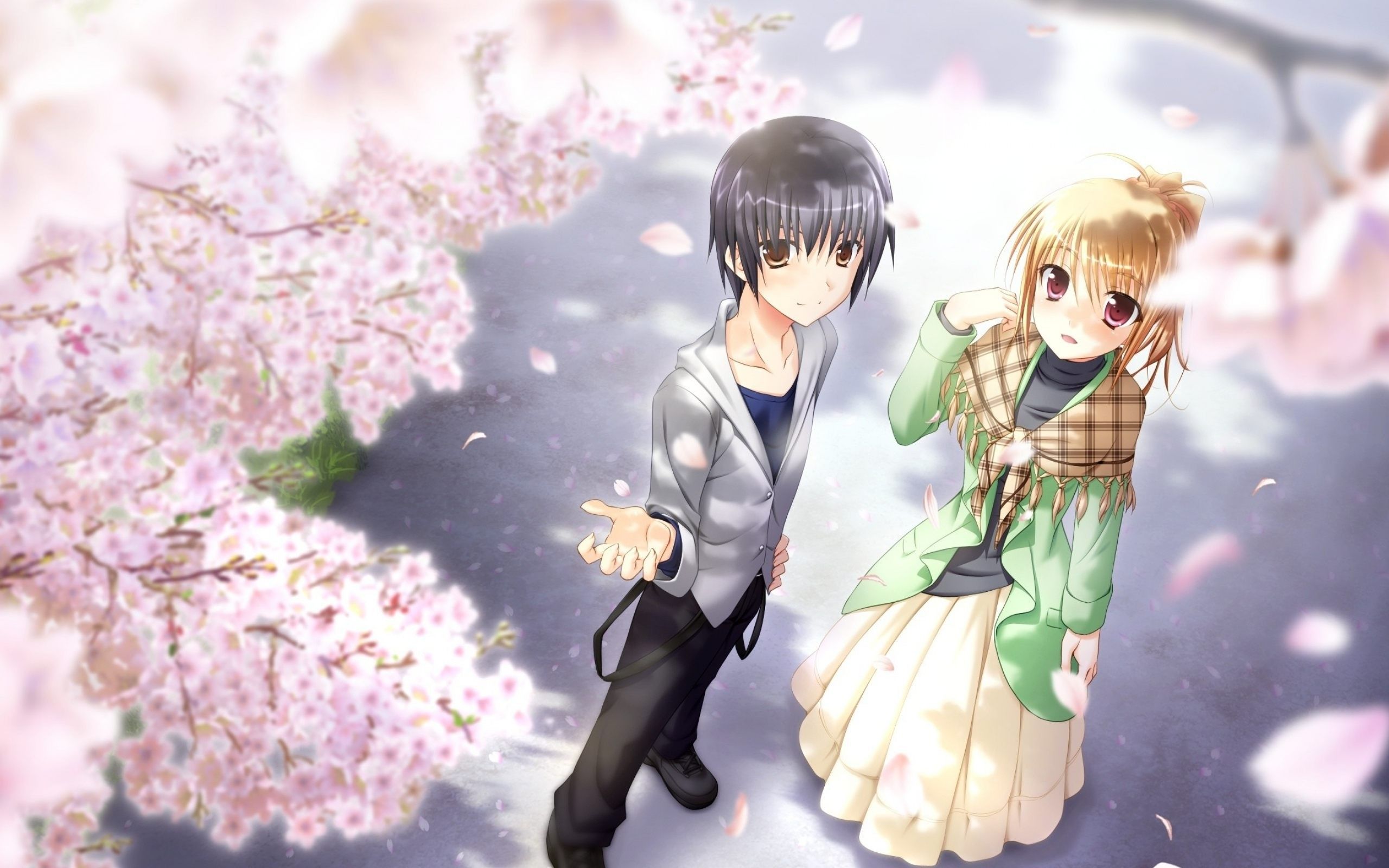 Coppia anime al tramonto, 1216x752 HD, HP Laptop