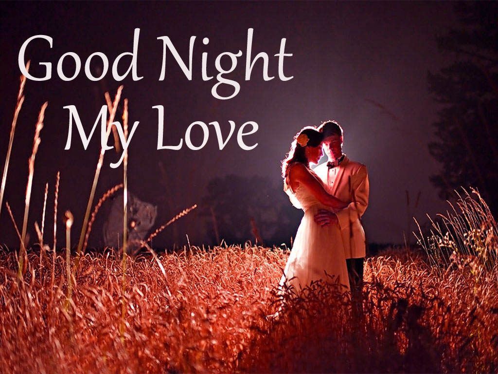 Coppia romantica campo notturno, 1024x768 HD, PC