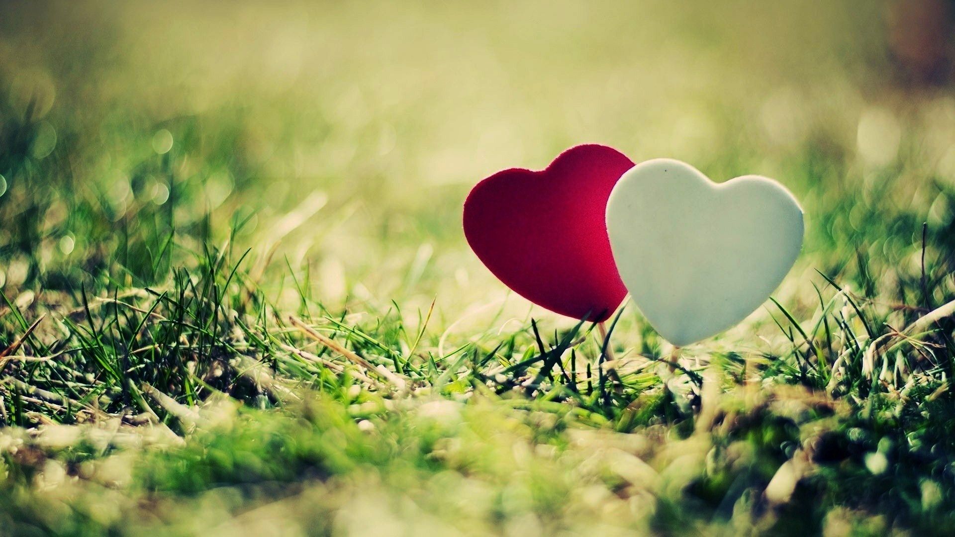 Due cuori rosso e bianco sull'erba, 1920x1080 Full HD, Desktop
