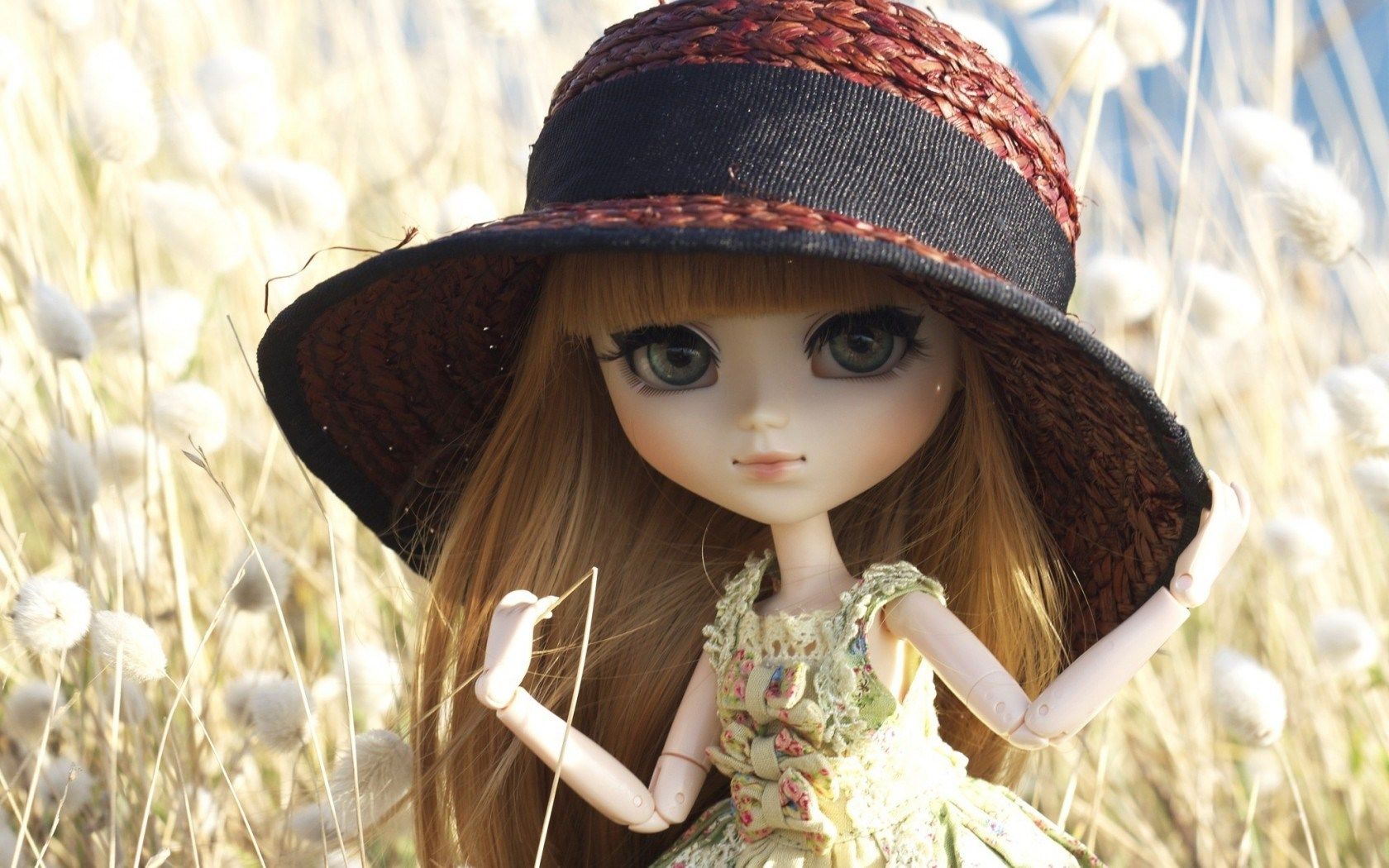 Bambola con cappello a falda larga, 1680x1050 HD Ready, PC