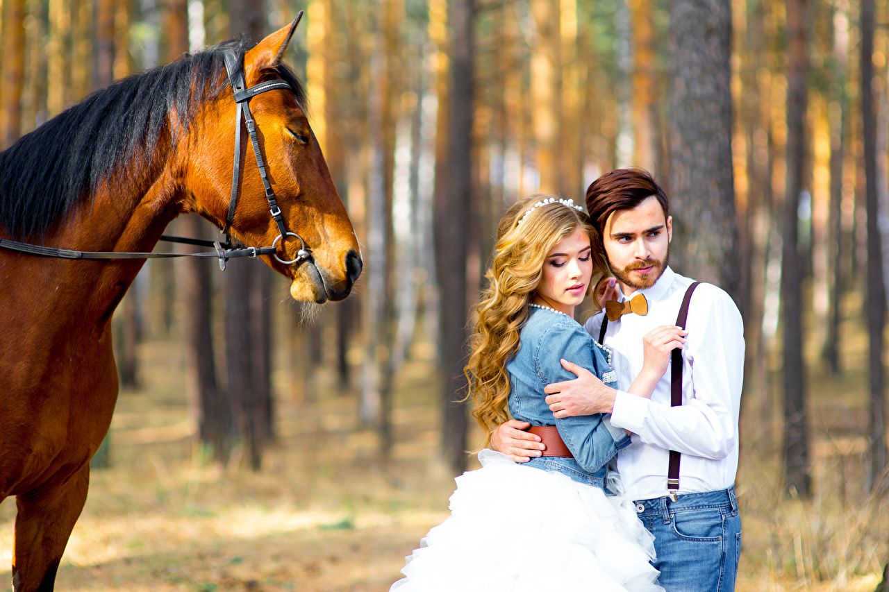 Sposi con cavallo nel bosco, 1280x853 720p, MacBook Air