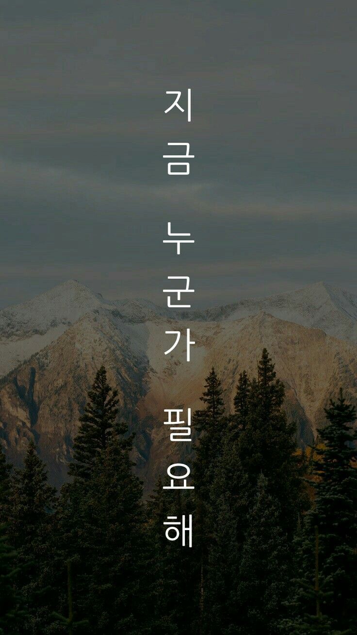 Montagne scure con testo coreano, 736x1308 Full HD Verticale, Smartphone