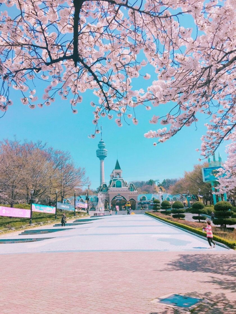 Torre Daegu con fiori di ciliegio, 768x1024 Full HD Verticale, Smartphone