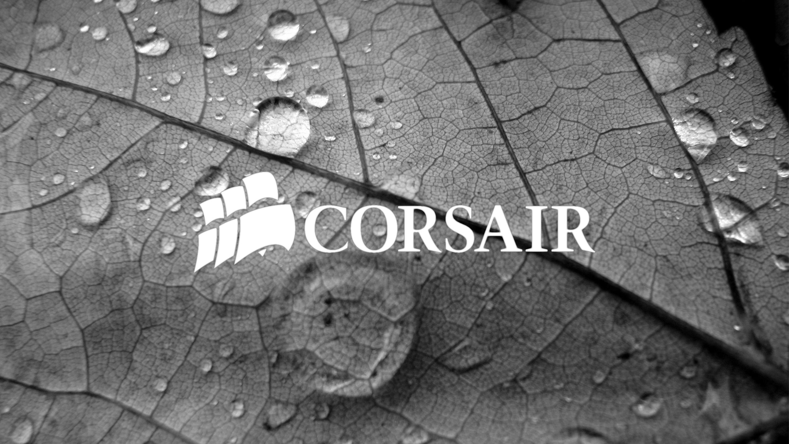 Logo Corsair sfondo rosso, 1920x1080 Full HD, Desktop