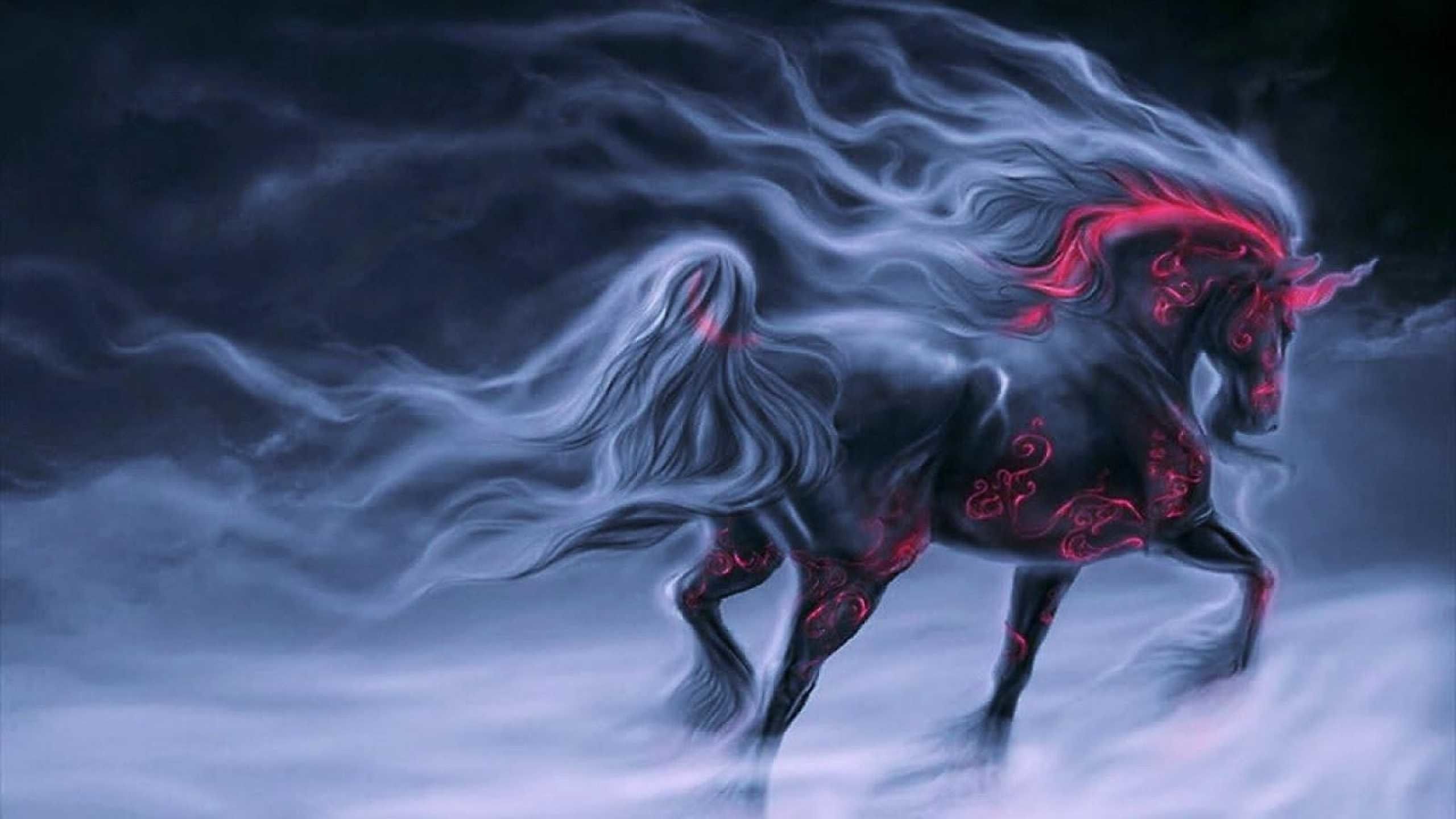 Pegaso nero alato fantasy, 1348x1000 720p, PC
