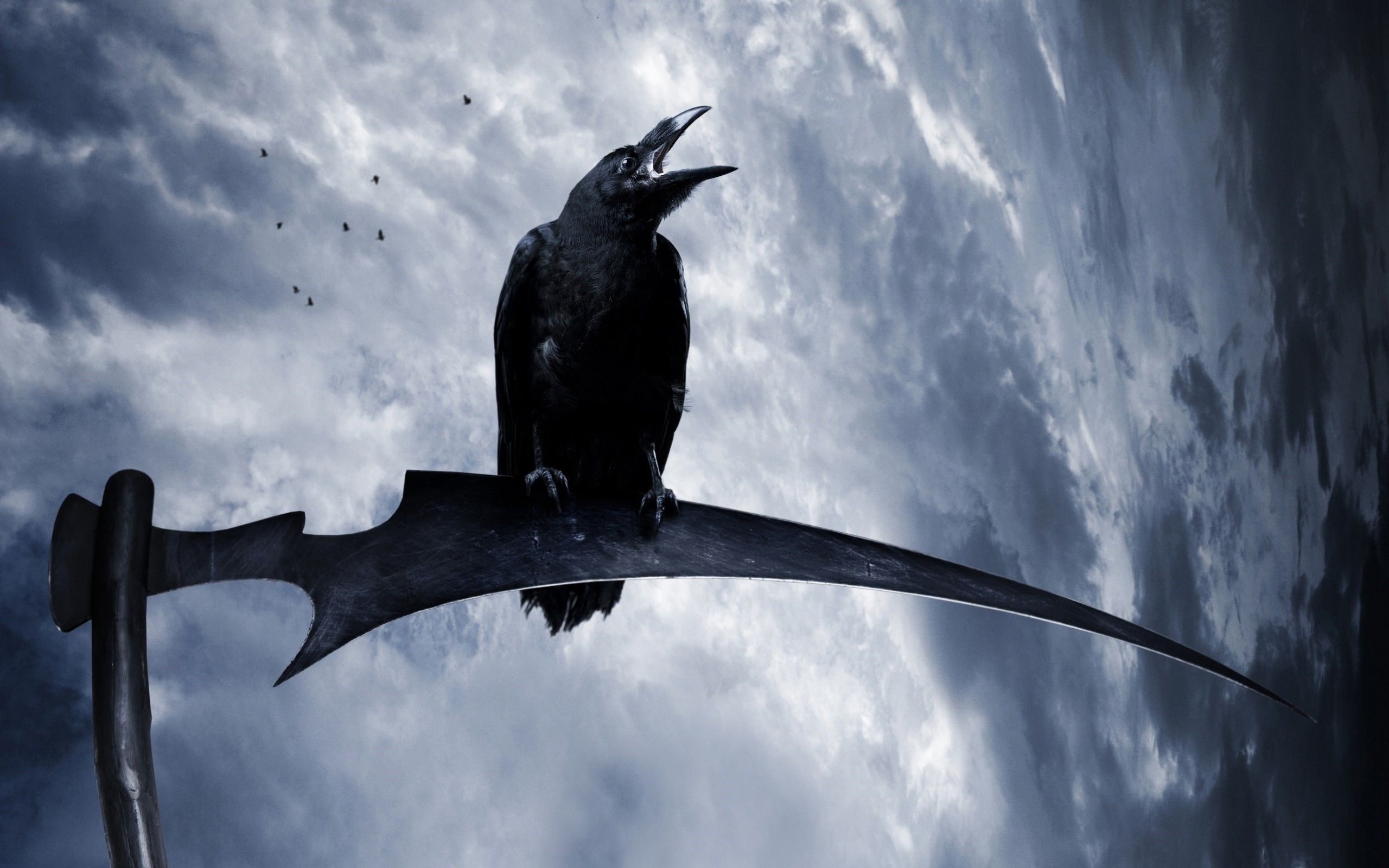 Corvo appollaiato su falce, 2560x1600 2K, MacBook Pro