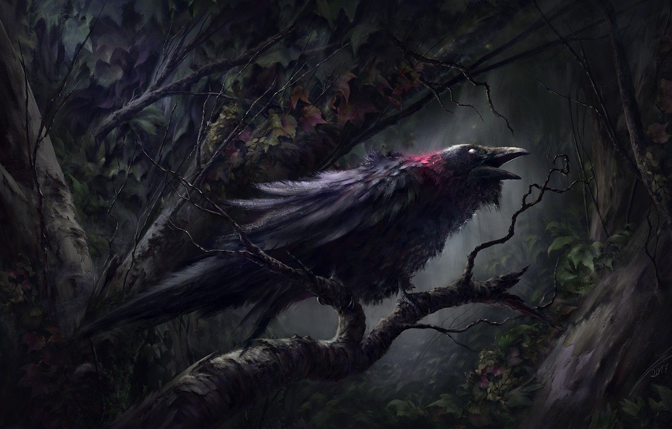 Corvo scuro nel bosco, 1332x850 720p, PC