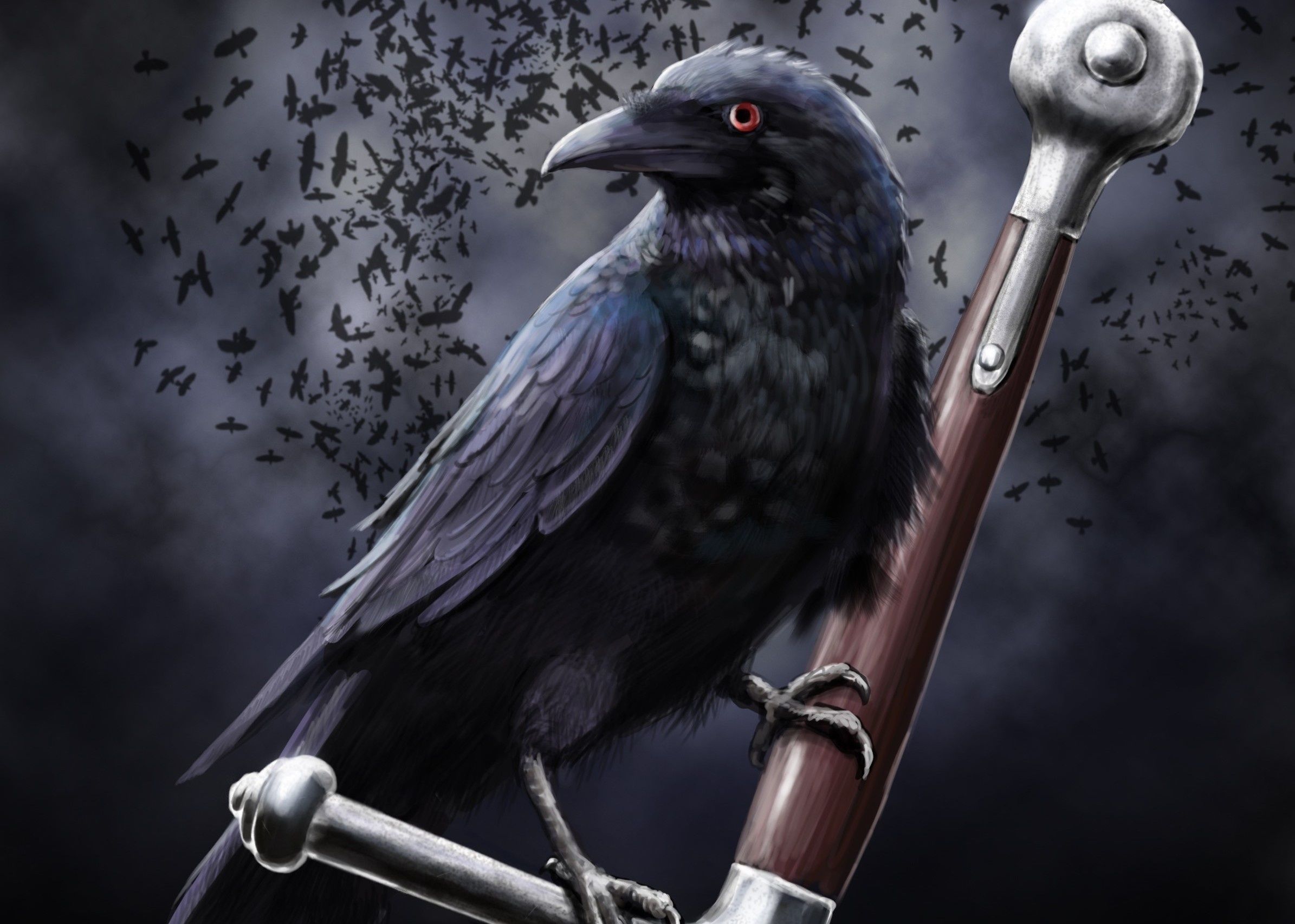 Corvo su bastone con stormo, 2390x1705 Hi-Res, Desktop