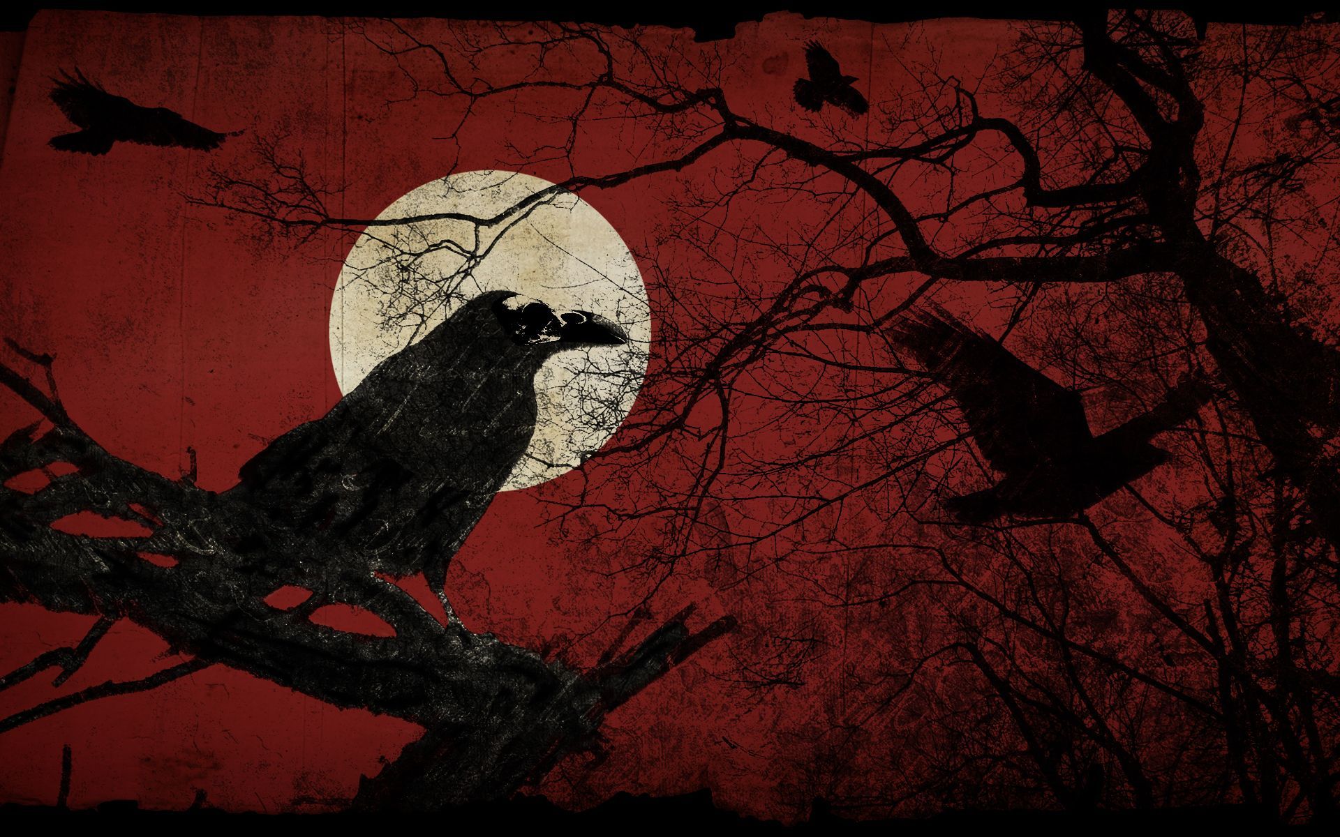 Corvi silhouette sotto luna piena, 1920x1200 Full HD+, Desktop