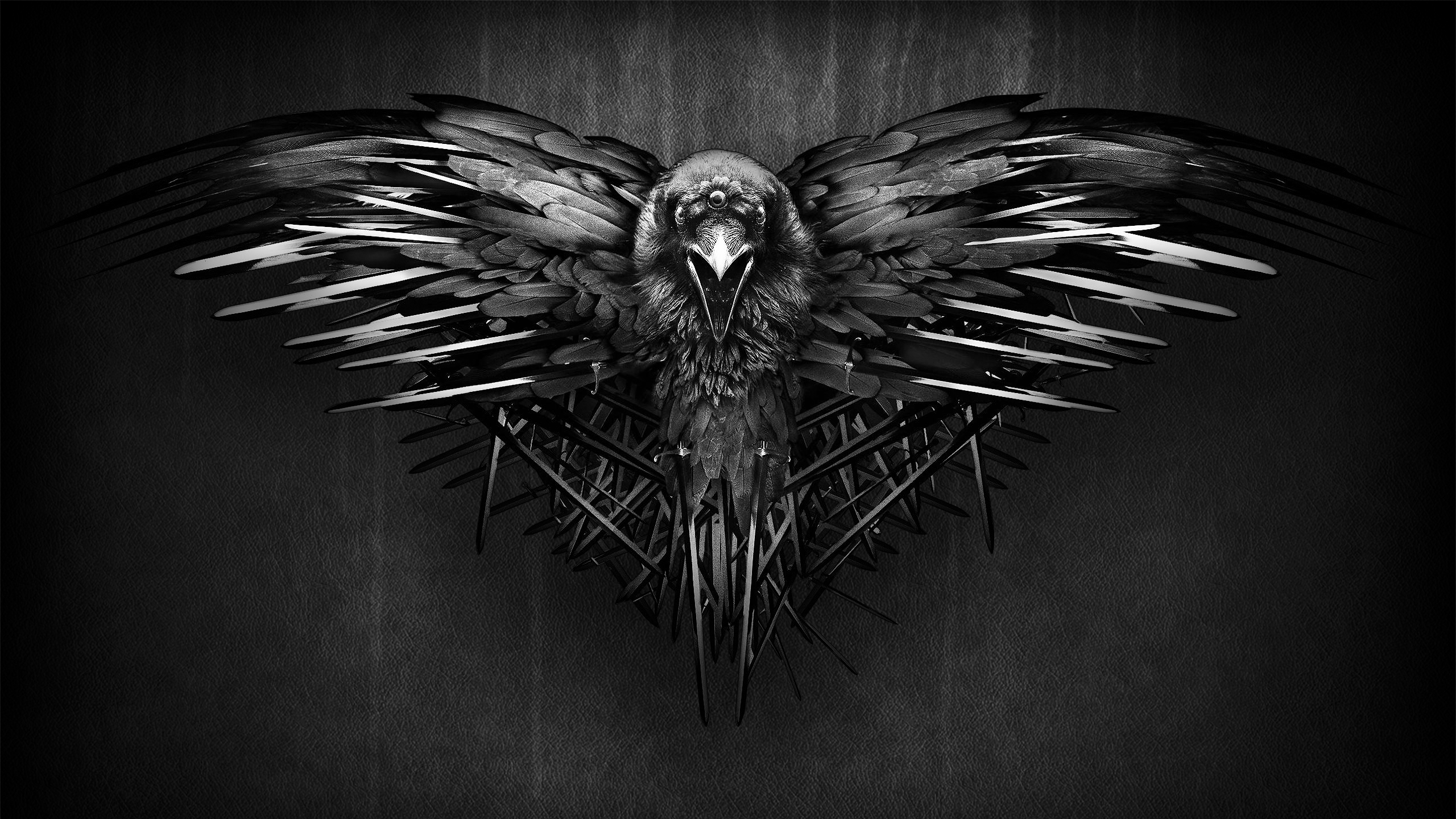 Corvo nero ali spiegate, 2560x1440 2K, Monitor Gaming