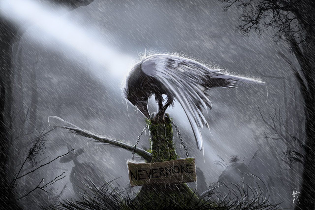 Corvo bianco arte astratta nero, 1366x768 720p, iMac