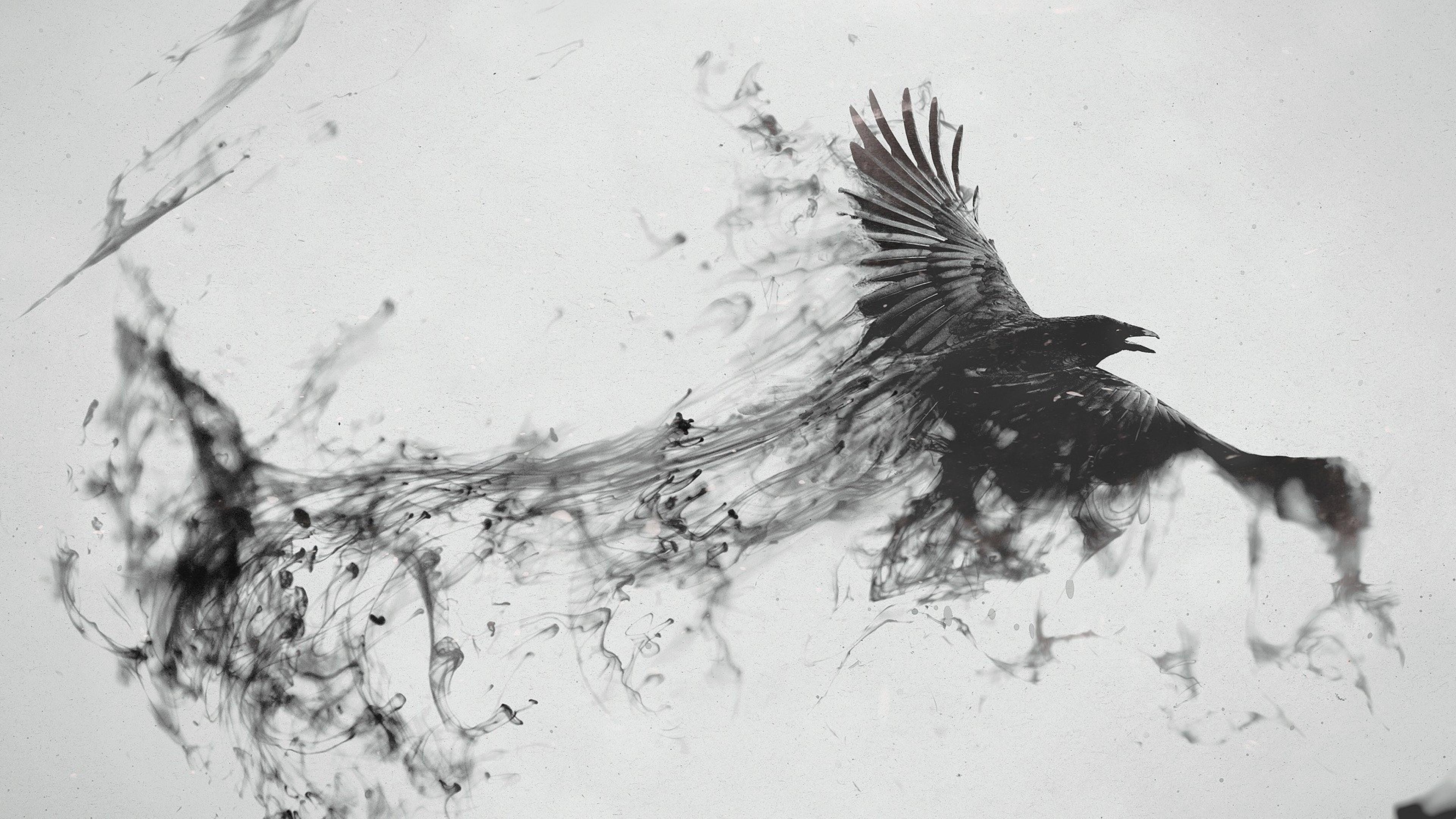 Corvo arte astratta bianco nero, 3840x2160 UHD, PC 4K
