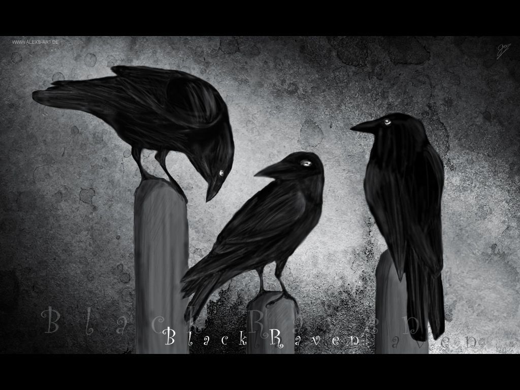 Corvi neri su colonne, 1024x768 HD, Desktop