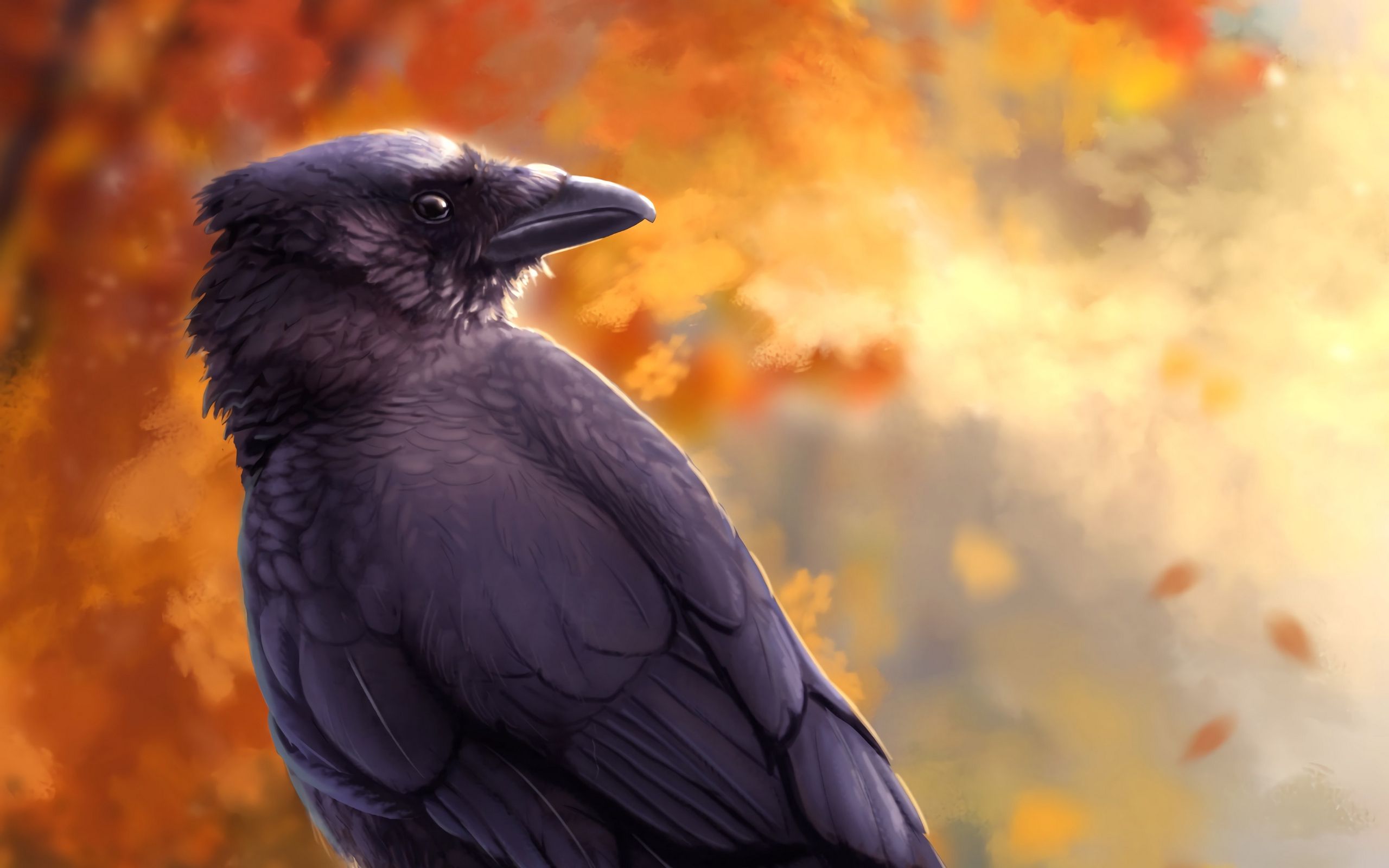 Corvo nero su sfondo autunnale, 2560x1600 2K, Desktop