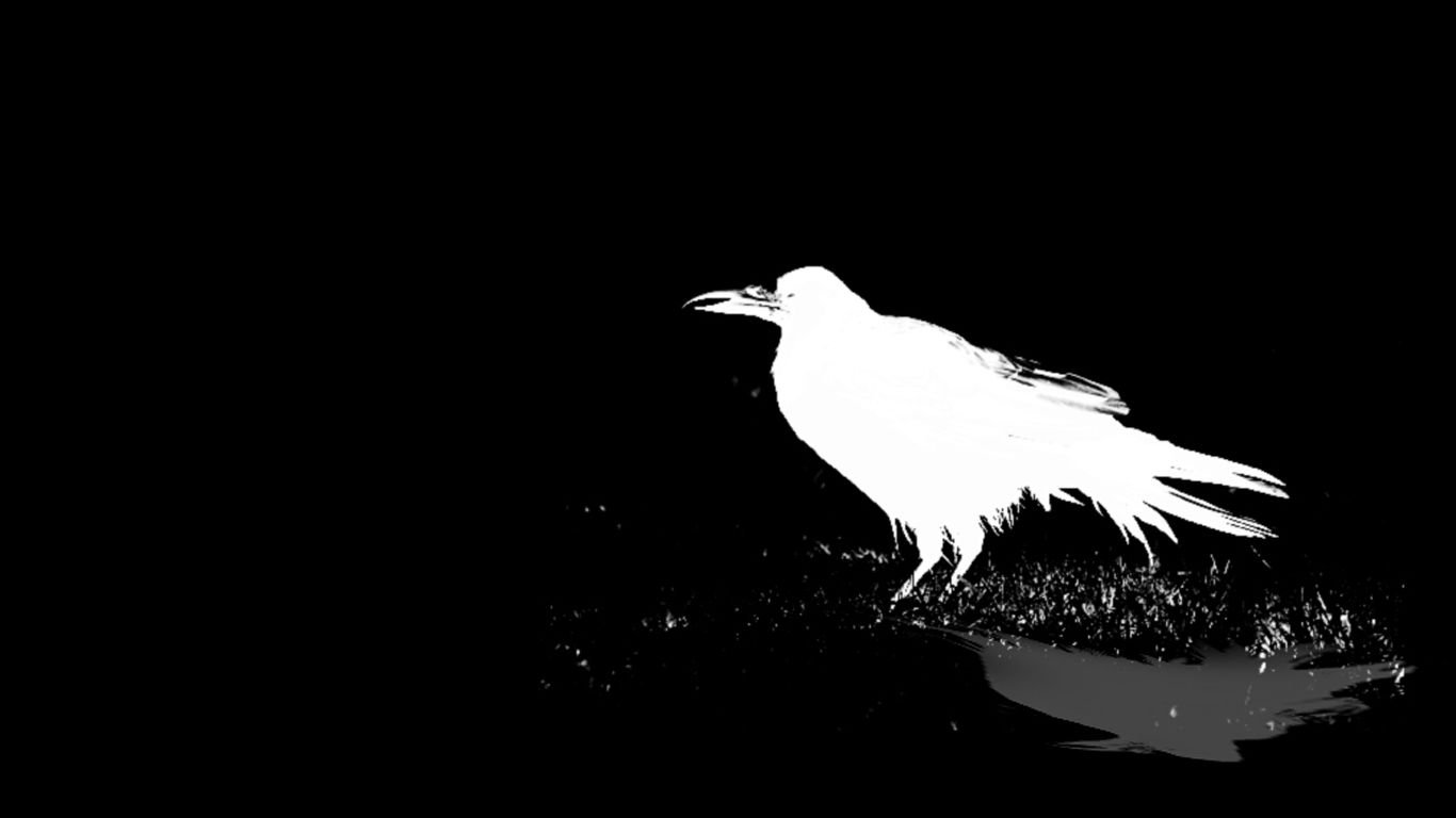 Corvo nero disegno artistico, 2400x1350 alta risoluzione, Desktop