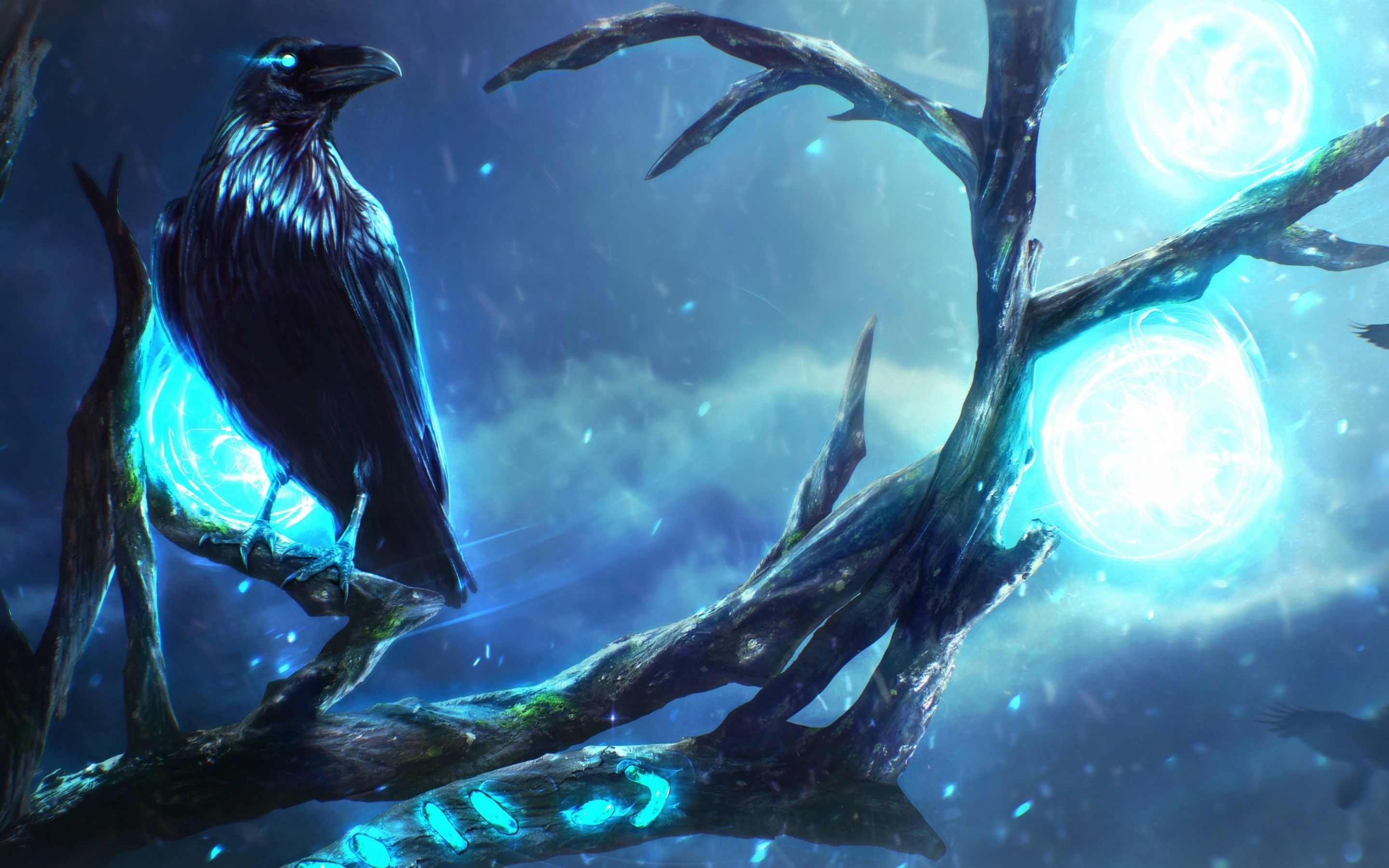 Corvo su ramo, luna blu, 2880x1800 2K+, Desktop