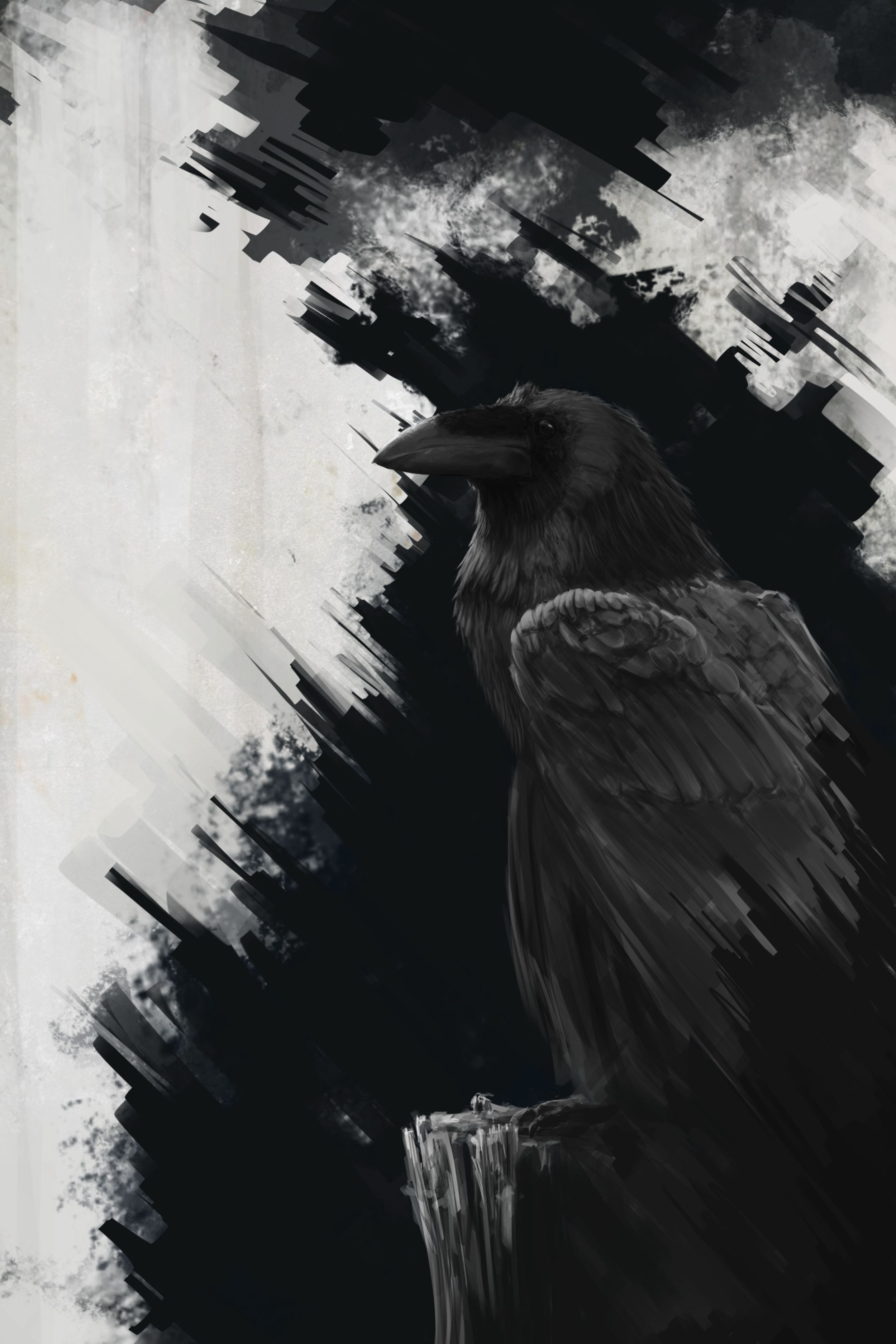 corvo nero arte astratta, 2500x3750 Verticale, Mobile