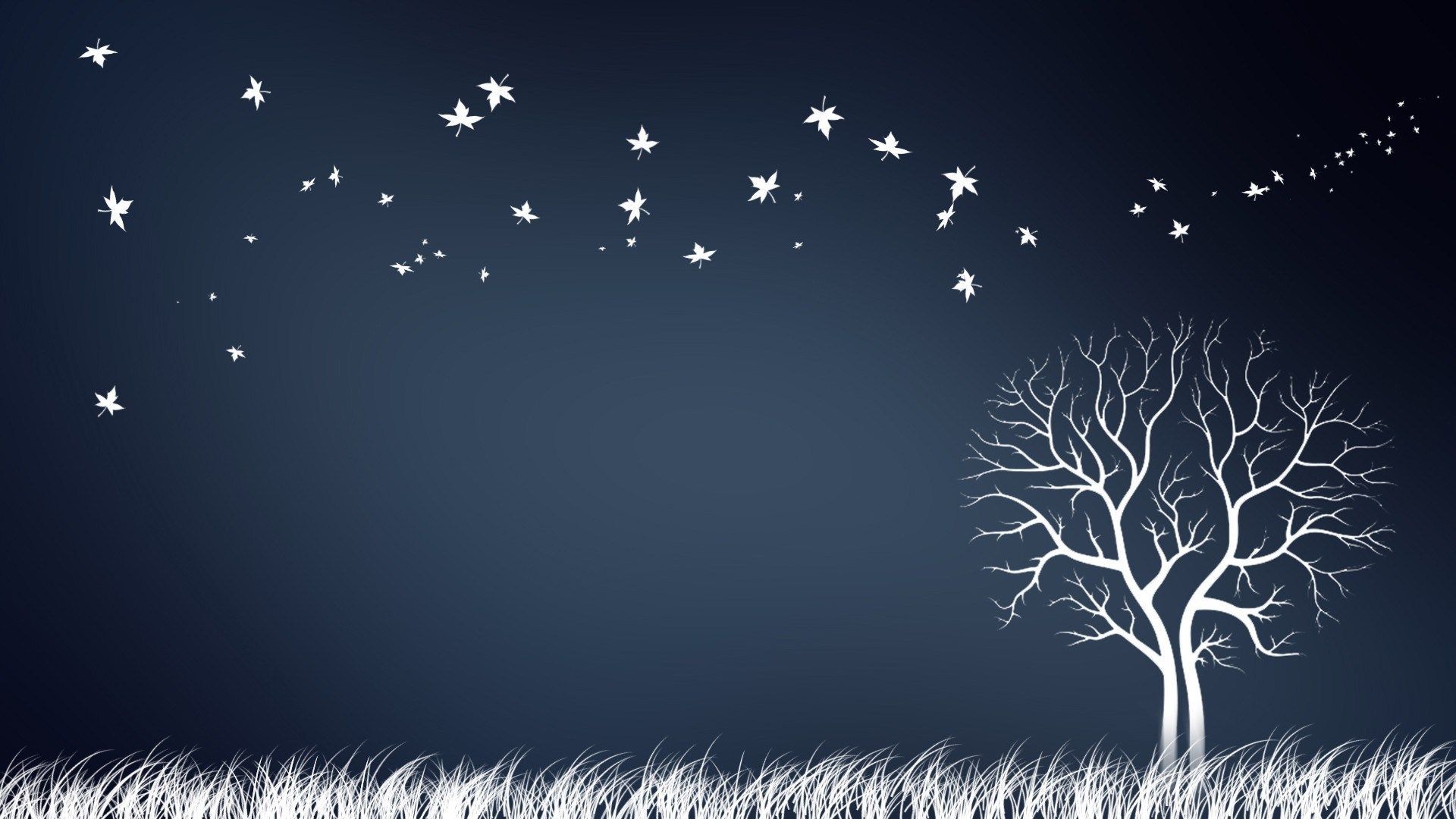 Albero uccelli silhouette notturna, 1920x1080 1080p, Desktop