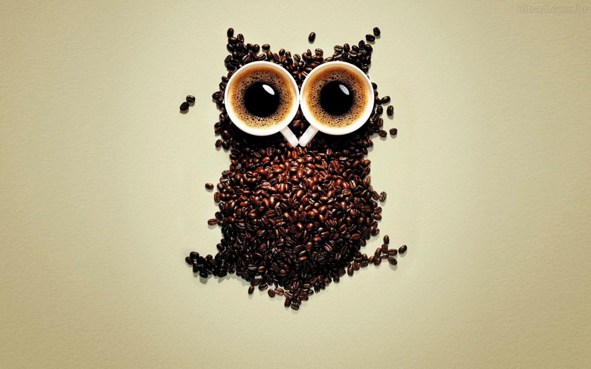 Gufo fatto di caffè, 1918x1198 HD, Desktop