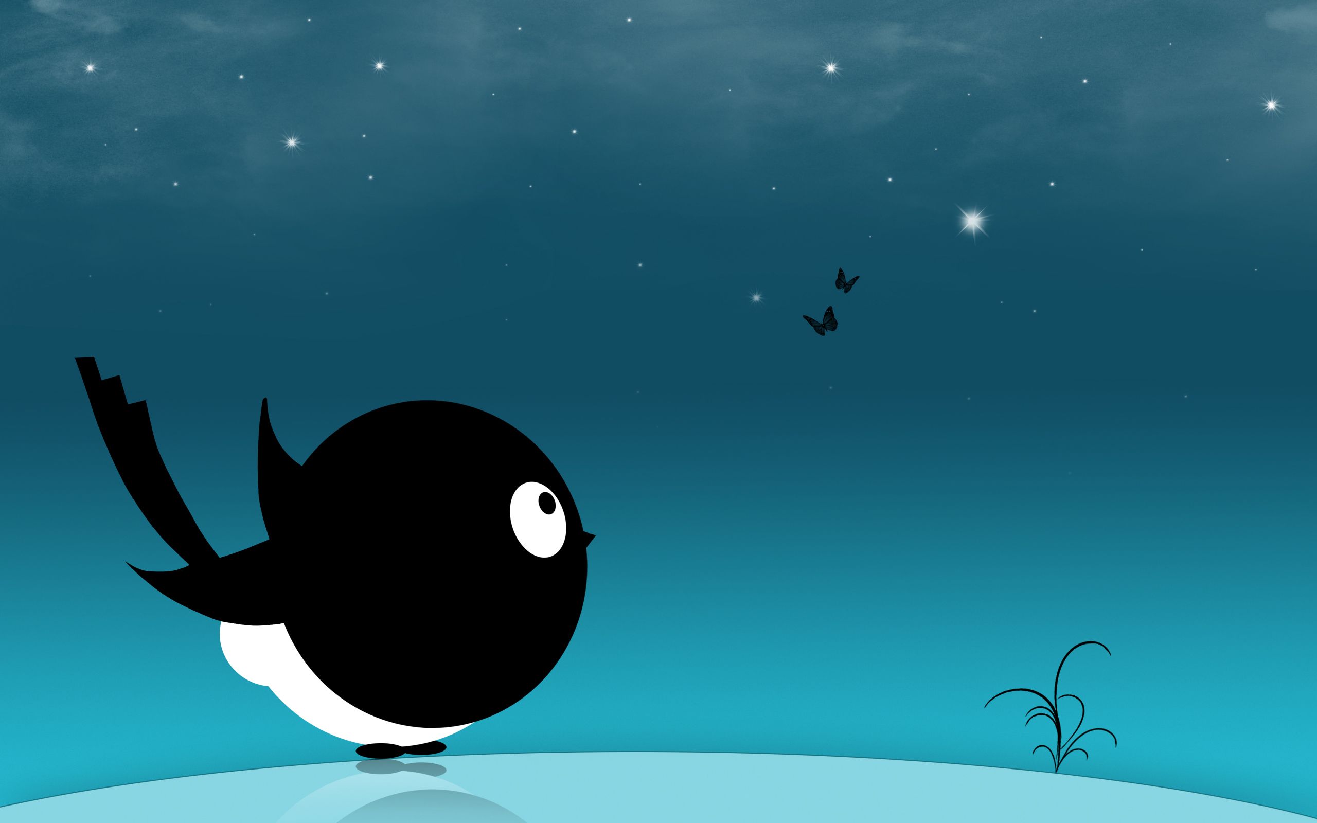 Uccello nero cartone notturno, 2560x1600 2K+, PC
