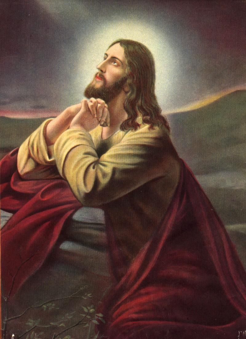 Gesù Cristo in preghiera, 800x1102 Full HD Verticale, iPhone