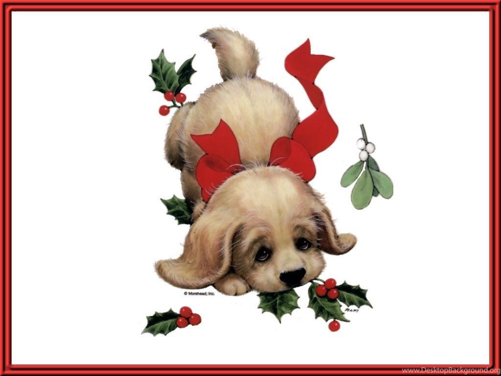 Cucciolo Golden Retriever cappello natalizio, 1024x768 HD, Desktop