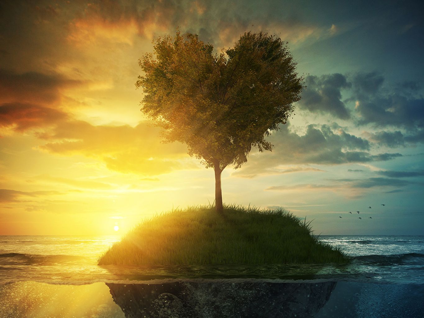 Albero a forma di cuore, tramonto, 1365x1024 720p, PC