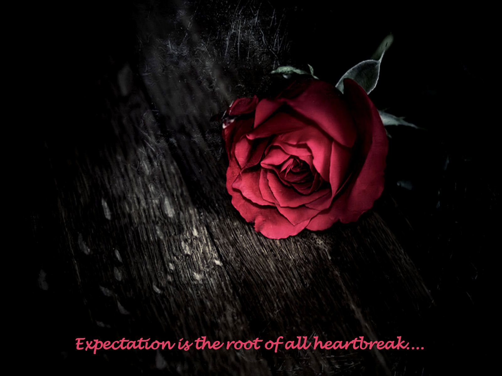 rosa rossa citazione heartbreak, 1600x1200 900p, MacBook Air