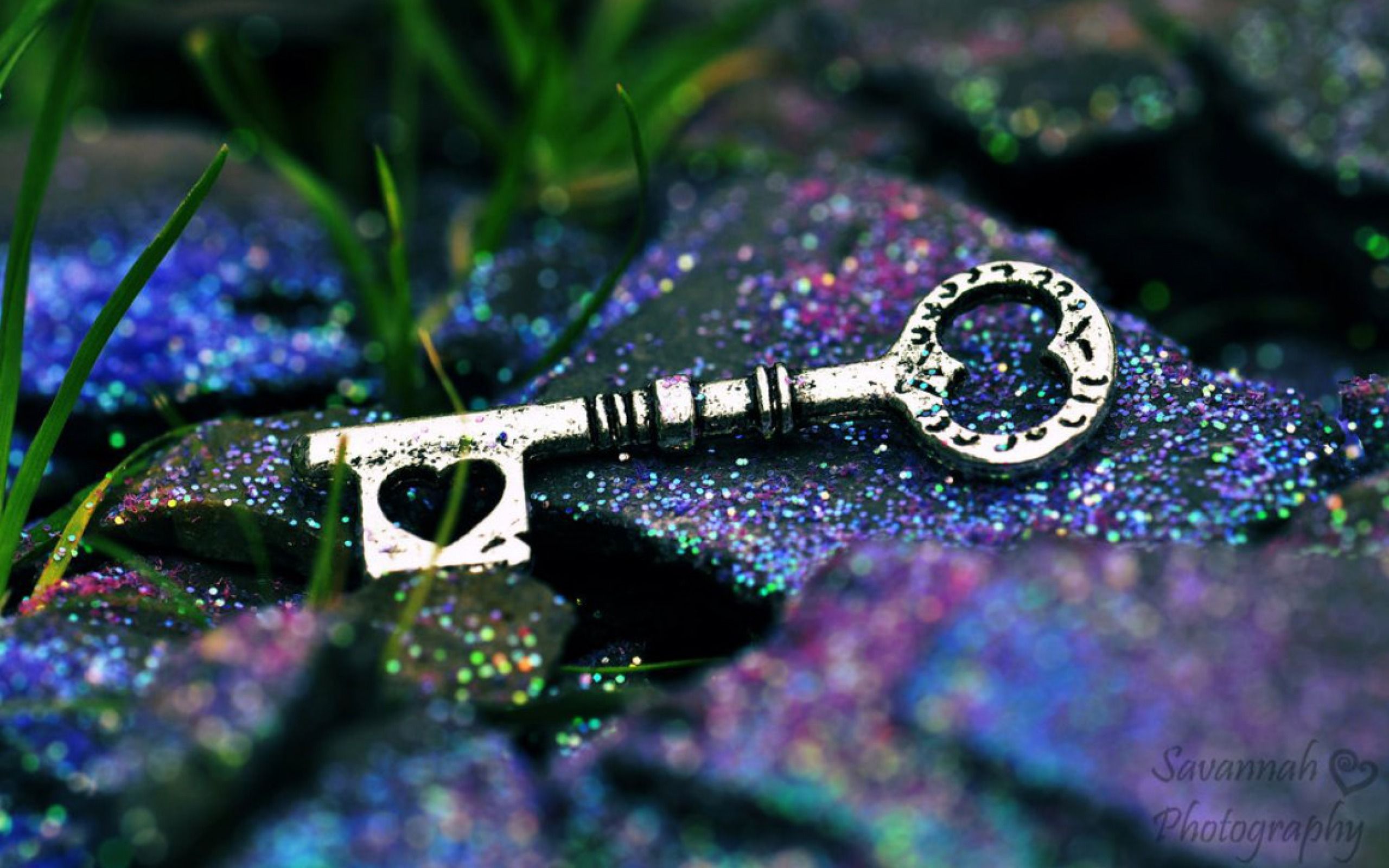 Chiave con glitter colorati, 2560x1600 2K, Laptop