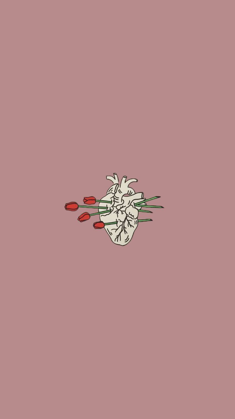 Cuore anatomico disegnato, sfondo rosa, 750x1333 Verticale, Xiaomi
