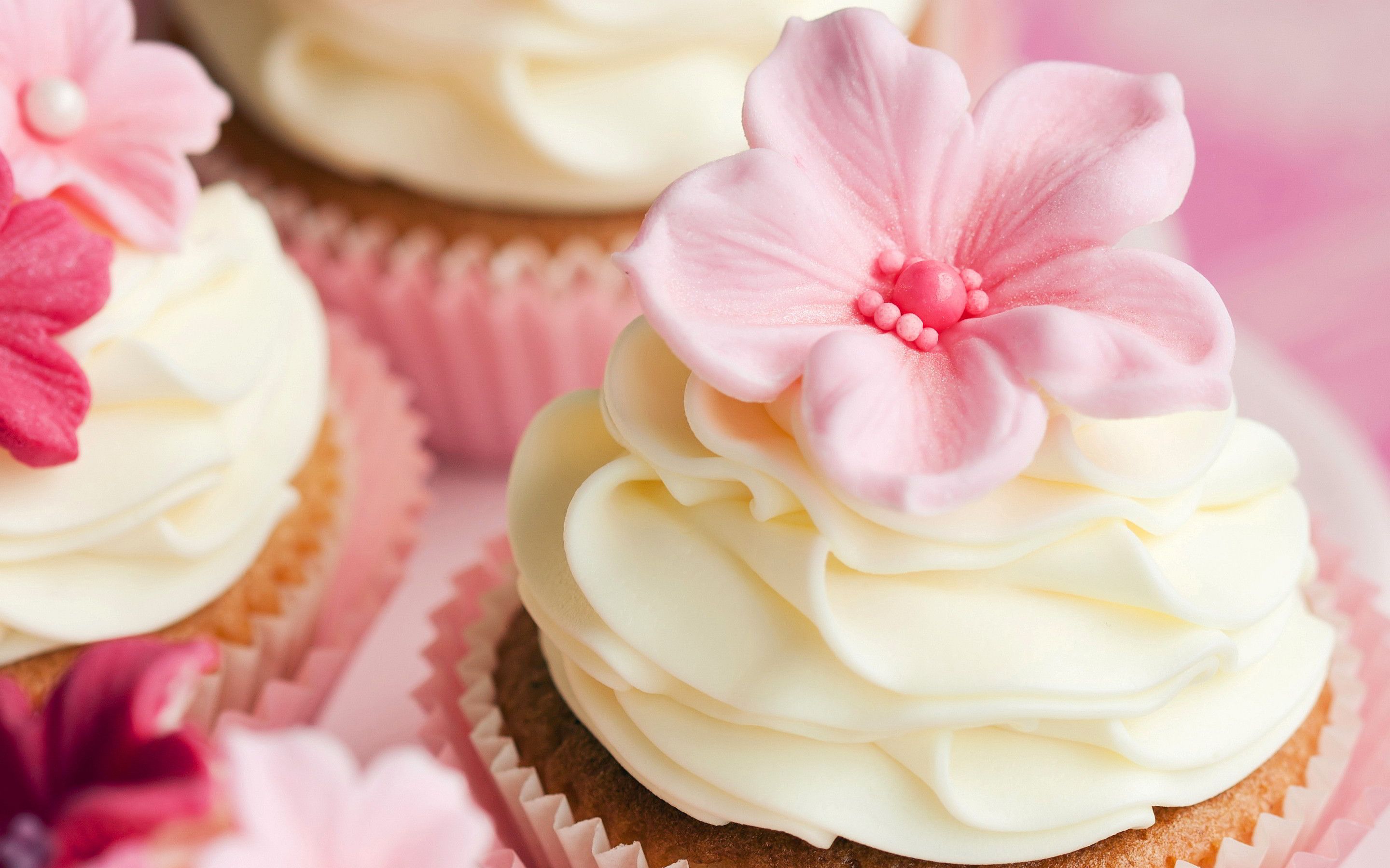 Cupcake con fiori zucchero rosa, 2880x1800 2K+, Desktop