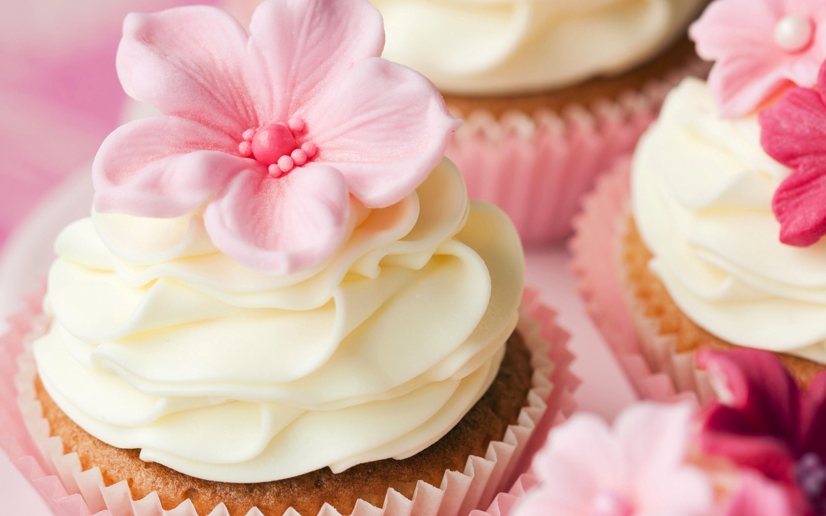 Cupcake con fiori di zucchero rosa, 2880x1800 2K, Desktop