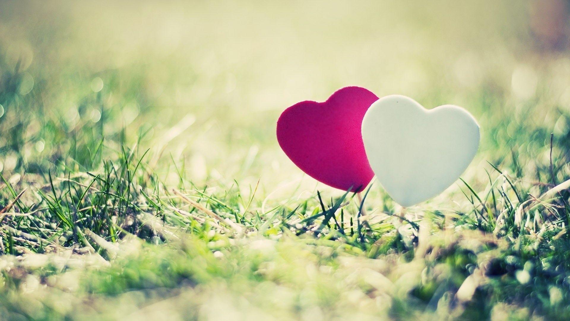 Cuori rosso e bianco erba, 1920x1080 Full HD 1080p, PC