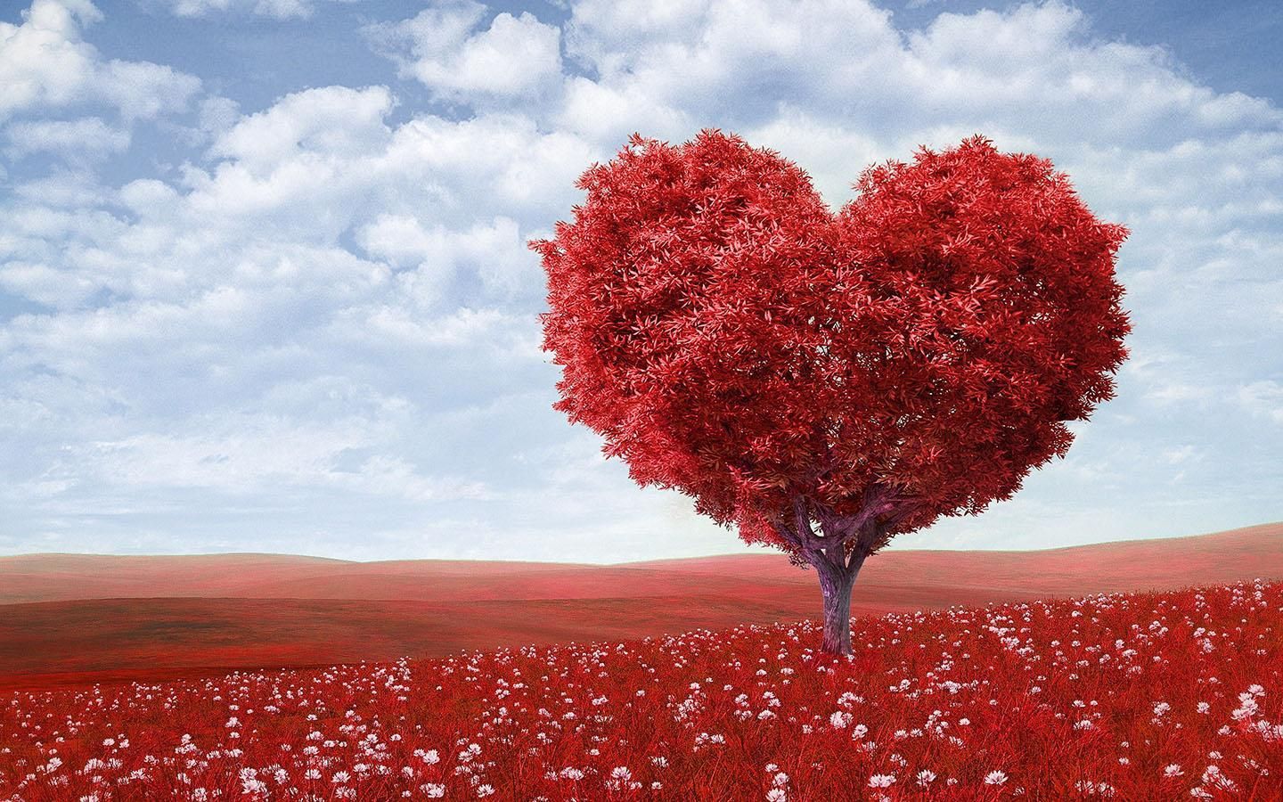 Albero a forma di cuore rosso, 1440x900 HD, PC Desktop