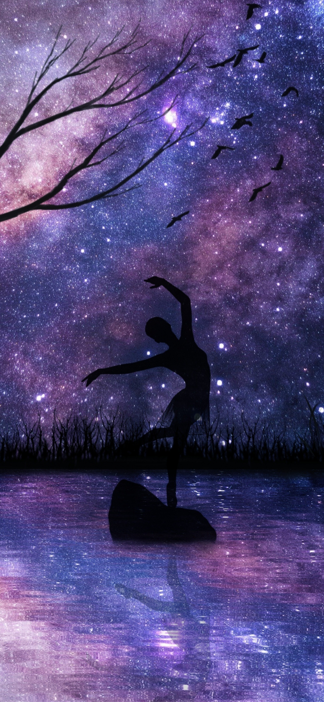 Silhouette ballerina cielo stellato, 1125x2436 Verticale, Telefono