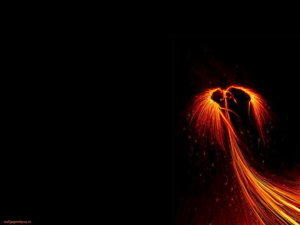 Fenice di fuoco arancione, 1024x768 HD, PC