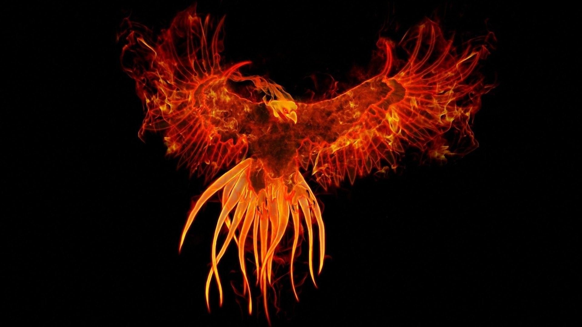 Fenice di fuoco arancione, 1920x1080 1080p, PC Desktop