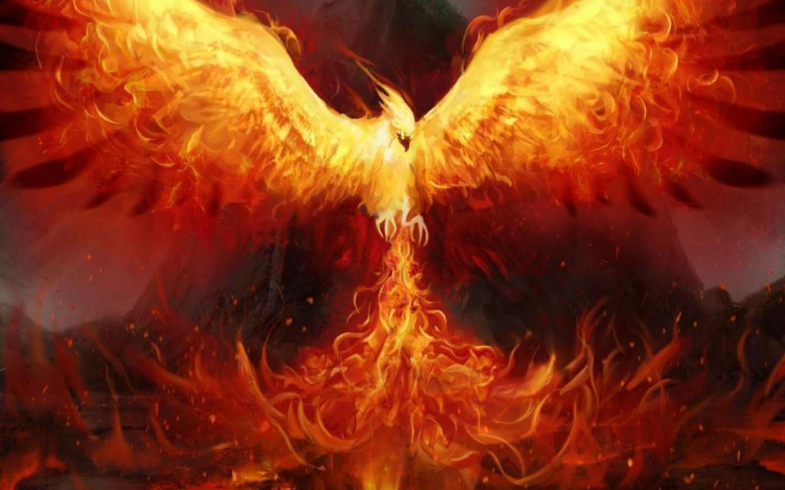 Fenice di fuoco arancione, 2560x1600 2K+, Laptop