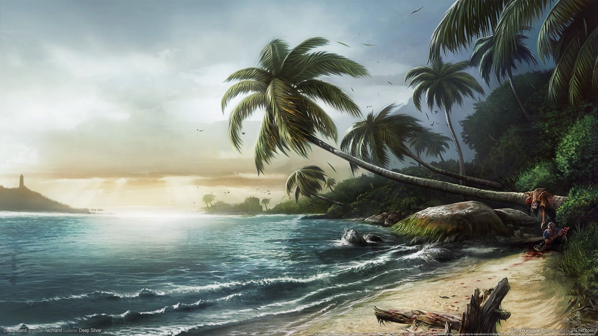 Spiaggia tropicale con palme, 1920x1080 1080p, PC Desktop