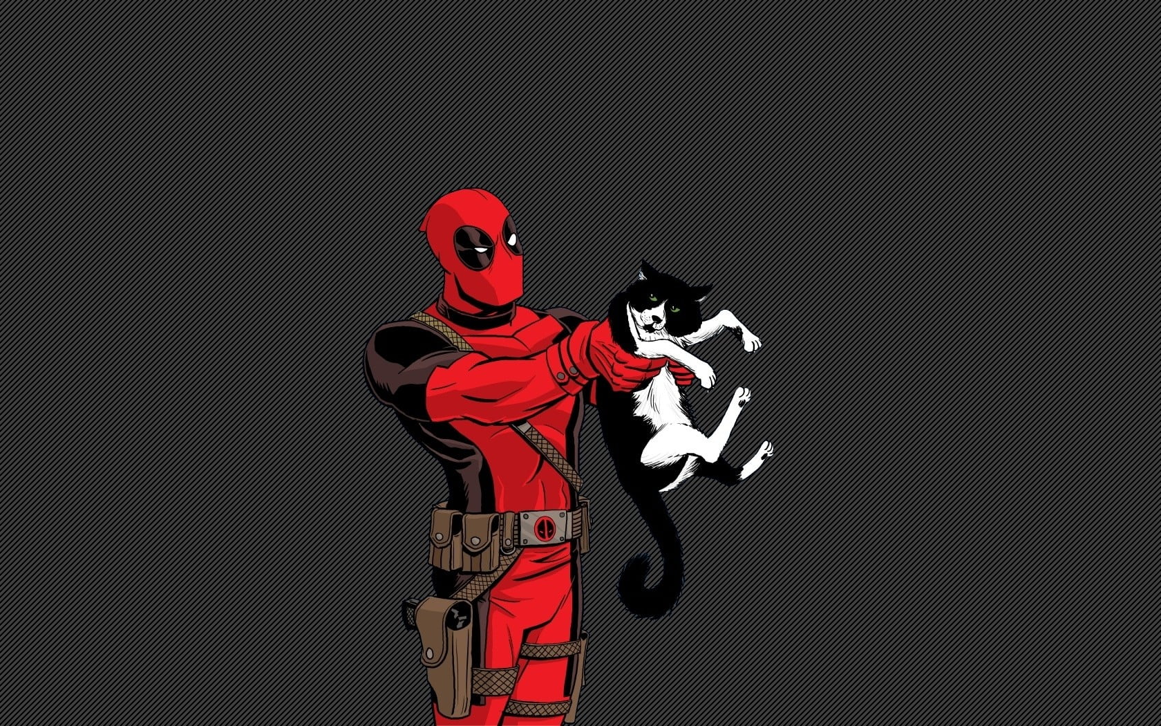 Deadpool con gatto bianco nero, 1680x1050 HD, Laptop