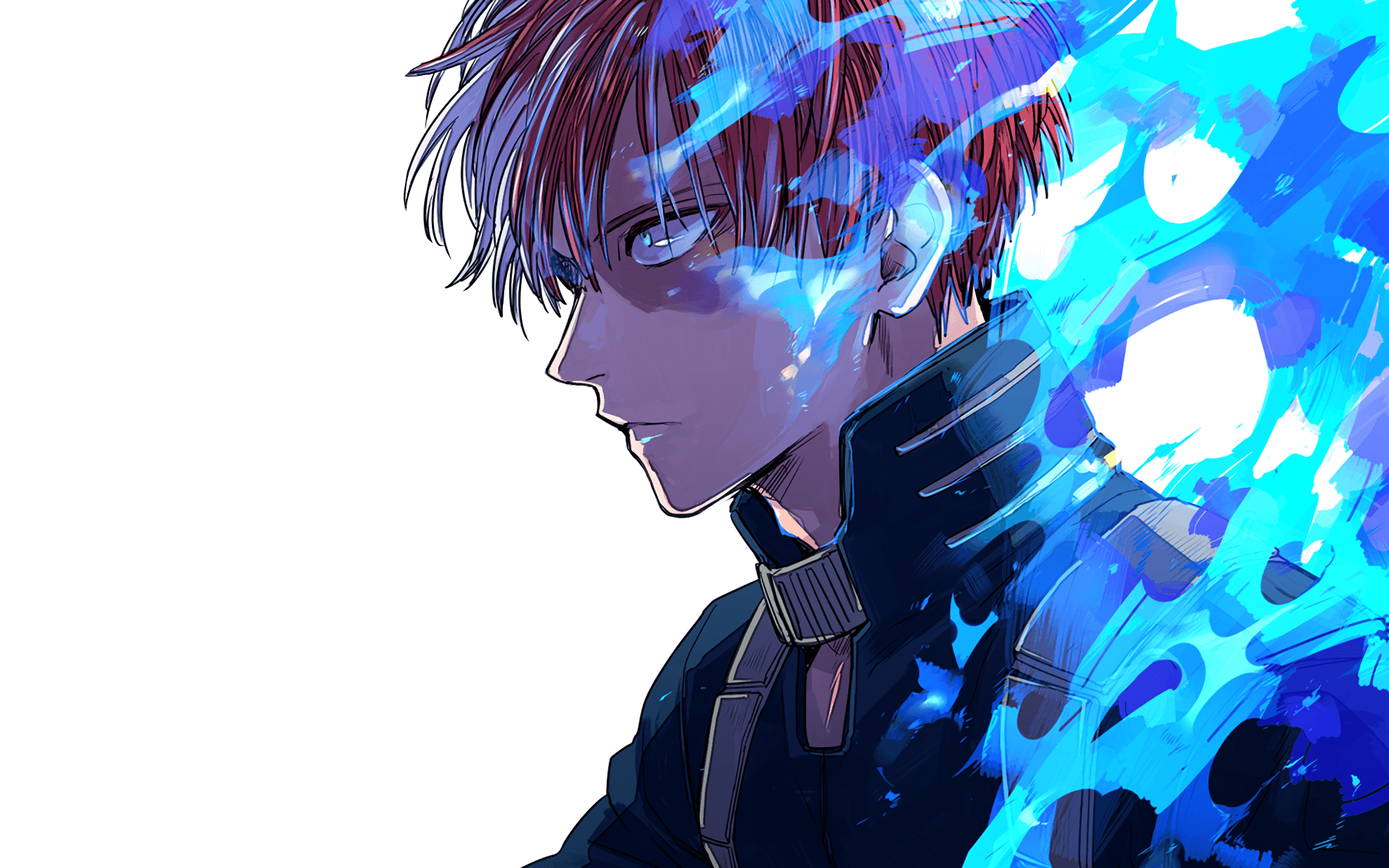 Todoroki My Hero Academia, eroi, 1920x1200 WUXGA, Laptop