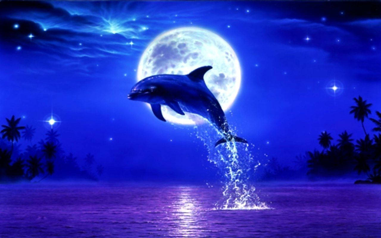 Delfino salta sotto luna, 1280x800 720p, PC